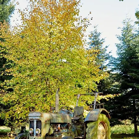 Schwarzkiefer, Haus Am Wald شقة *