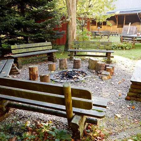 Schwarzkiefer, Haus Am Wald Lutzhorn
